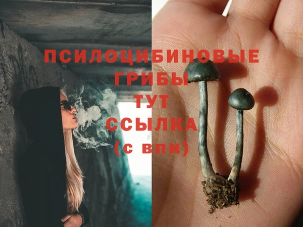 прущая мука Наволоки