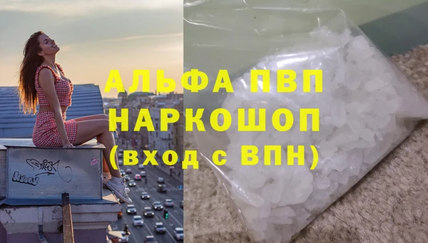 2c-b Бердск