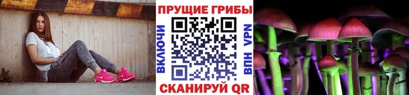 Псилоцибиновые грибы MAGIC MUSHROOMS наркотики Спас-Клепики